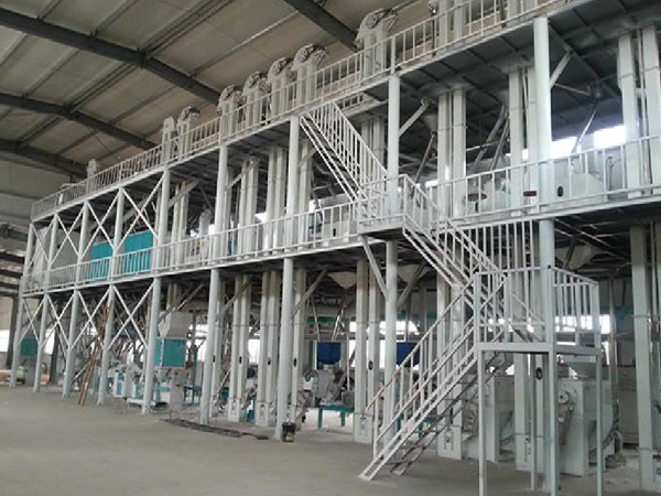 河南商丘日產100噸玉米加工成套設備正式投入生產